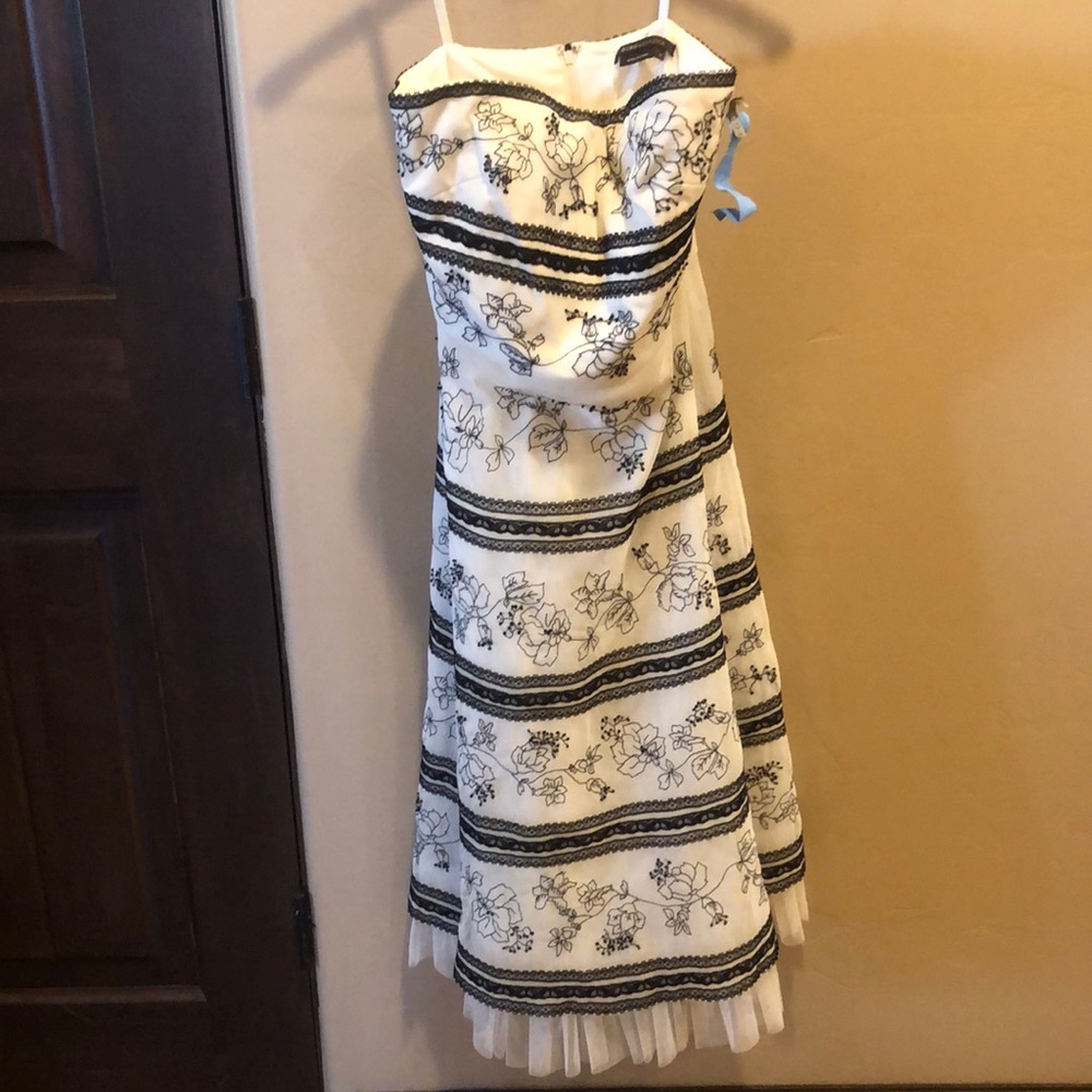 Cream and black lace, beaded dress with tool underneath, satin lined